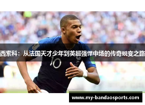 西索科：从法国天才少年到英超强悍中场的传奇蜕变之路