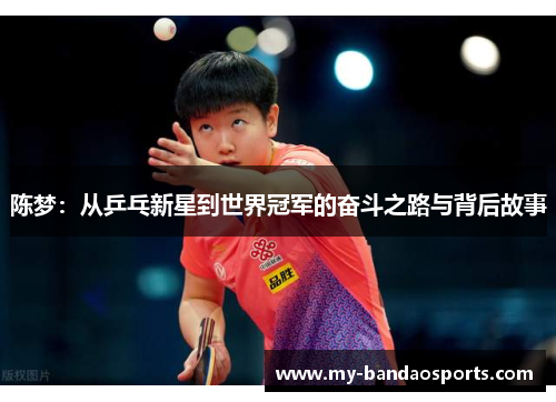 陈梦：从乒乓新星到世界冠军的奋斗之路与背后故事