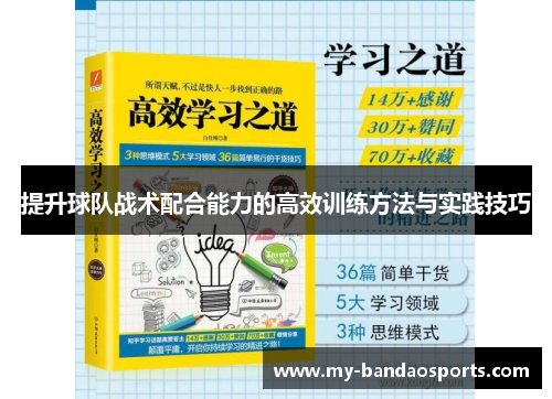 提升球队战术配合能力的高效训练方法与实践技巧