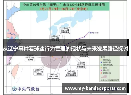 从辽宁事件看球迷行为管理的现状与未来发展路径探讨