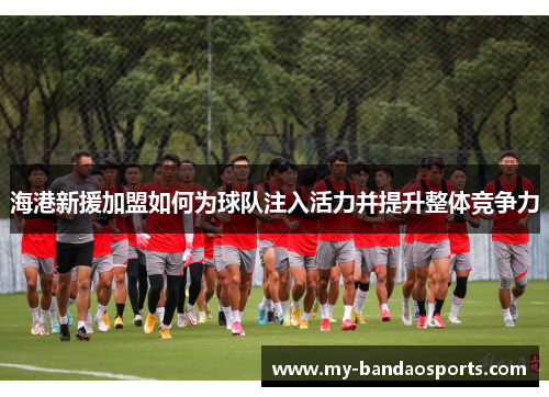 海港新援加盟如何为球队注入活力并提升整体竞争力