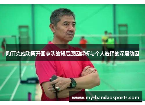 陶菲克成功离开国家队的背后原因解析与个人选择的深层动因