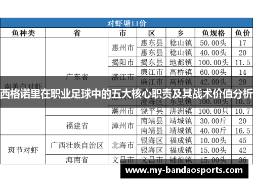 西格诺里在职业足球中的五大核心职责及其战术价值分析
