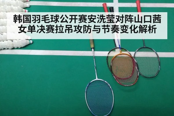 badminton match court